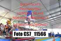 CS7_11566-