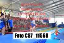 CS7_11568-