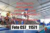 CS7_11571-