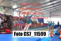 CS7_11599-
