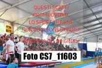 CS7_11603-