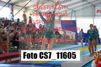 CS7_11605-