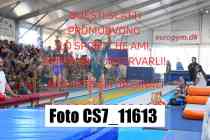CS7_11613-