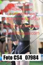 CS4_07984-