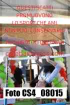 CS4_08015-