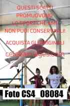 CS4_08084-