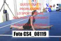 CS4_08119-