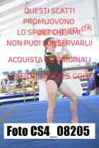 CS4_08205-