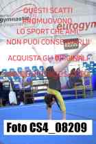 CS4_08209-