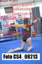 CS4_08213-