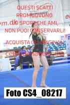 CS4_08217-
