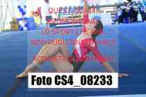 CS4_08233-