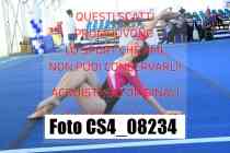 CS4_08234-