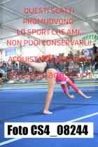 CS4_08244-