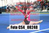 CS4_08248-