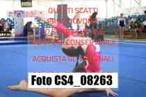 CS4_08263-
