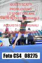 CS4_08275-
