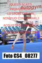 CS4_08277-