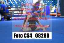 CS4_08280-