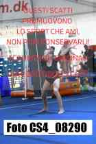 CS4_08290-