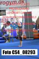 CS4_08293-