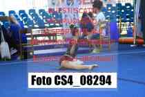 CS4_08294-