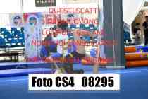CS4_08295-