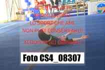 CS4_08307-
