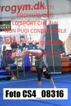 CS4_08316-