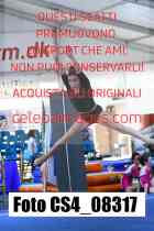 CS4_08317-