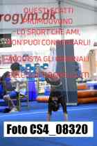 CS4_08320-