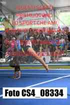 CS4_08334-