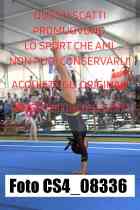 CS4_08336-