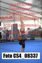 CS4_08337-