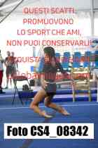 CS4_08342-