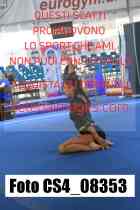 CS4_08353-