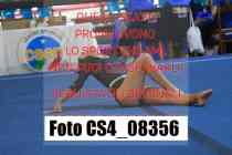 CS4_08356-
