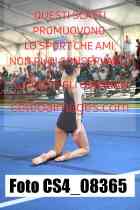 CS4_08365-