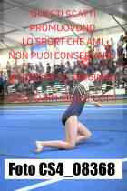 CS4_08368-