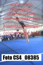 CS4_08385-