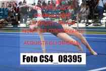 CS4_08395-