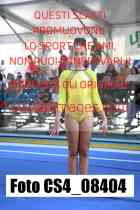 CS4_08404-