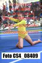 CS4_08409-
