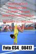 CS4_08417-