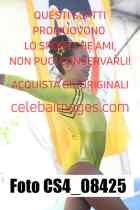 CS4_08425-