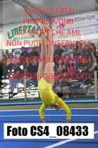CS4_08433-