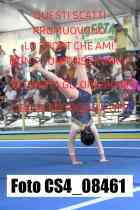 CS4_08461-