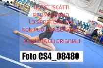CS4_08480-