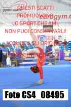 CS4_08495-