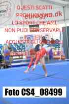 CS4_08499-